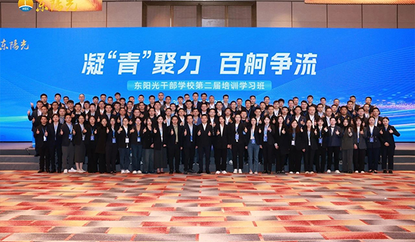 凝“青”聚力，百舸争流 | 6686干部学校2024年第二届培训学习班圆满结束